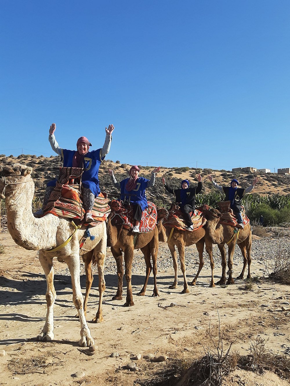 Camel ride Agadir traditional experience